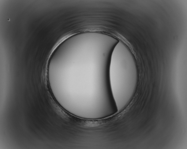 X0000085021378200703050927