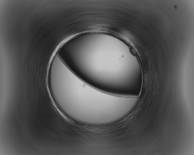 X0000085021379200703050927