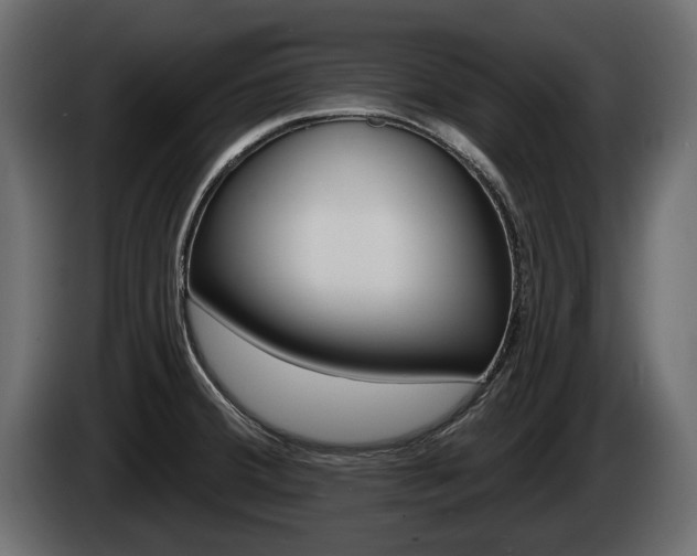 X0000085021380200703050927