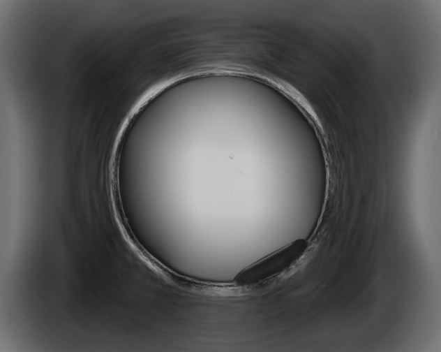 X0000085021381200703050927