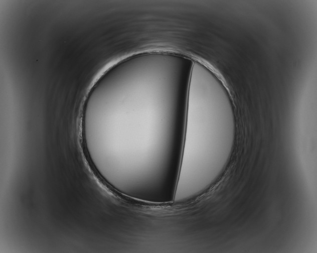 X0000085021383200703050927