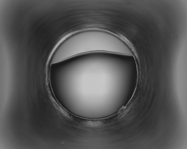 X0000085021384200703050927
