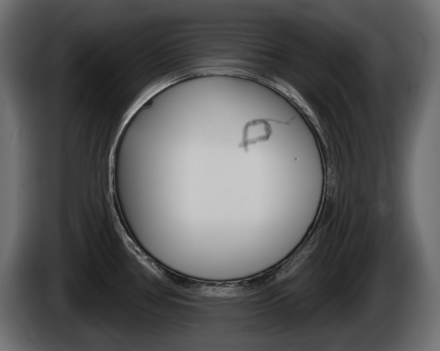 X0000085021386200703050927