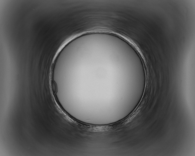 X0000085021390200703050927