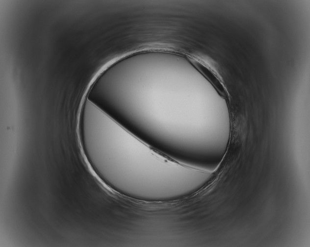 X0000085021391200703050927