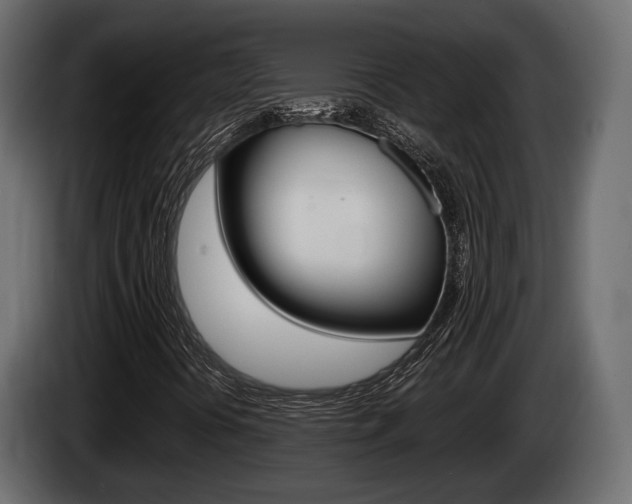 X0000085021394200703050926