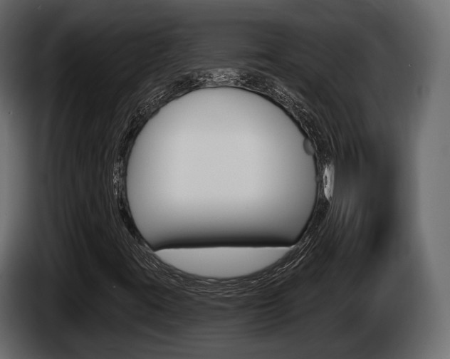 X0000085021395200703050926
