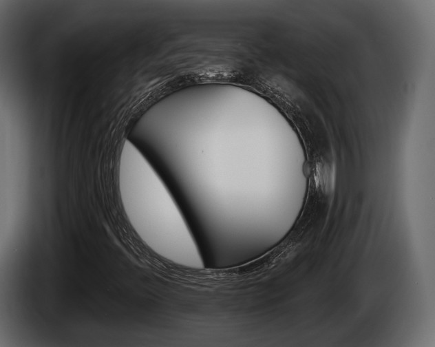 X0000085021396200703050927
