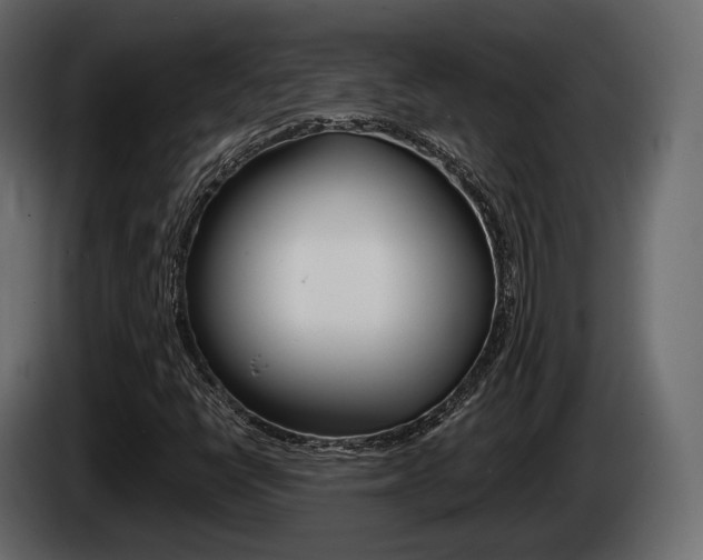 X0000085021398200703050927