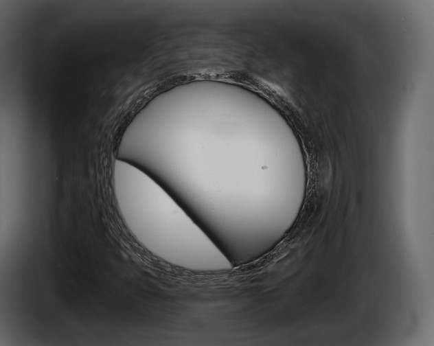 X0000085021399200703050927