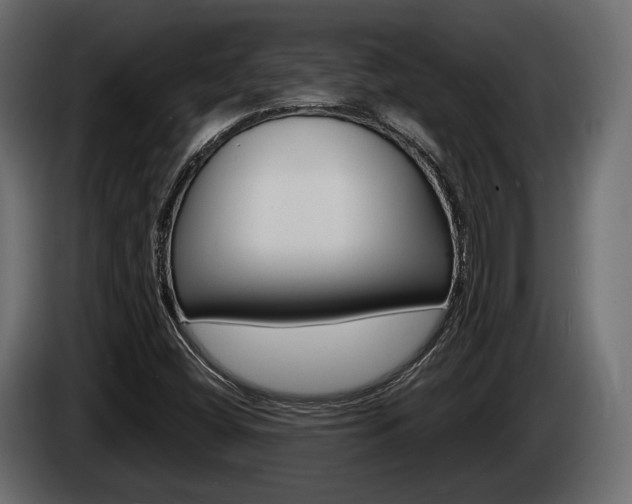X0000085021404200703050927
