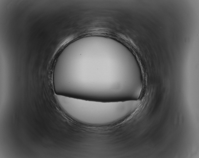 X0000085021405200703050927