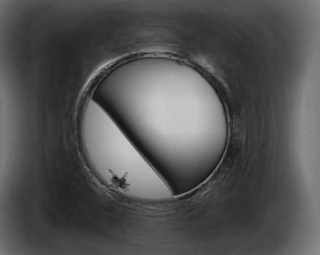 X0000085021408200703050927