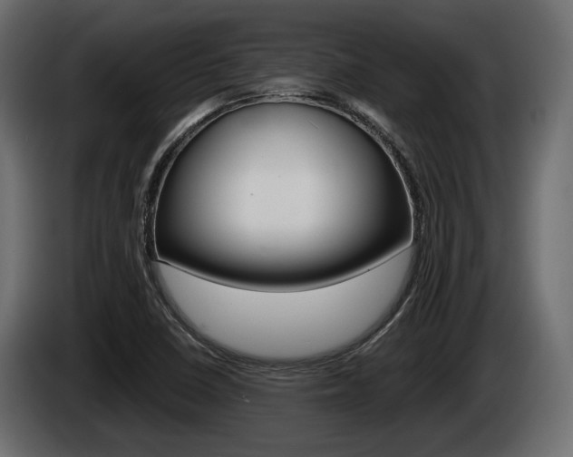 X0000085021410200703050927