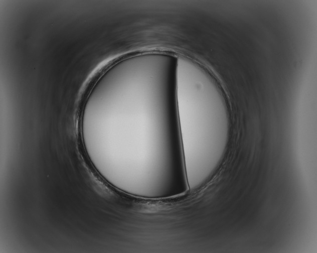X0000085021416200703050927