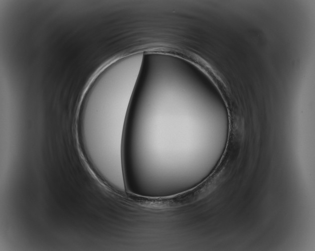 X0000085021418200703050927