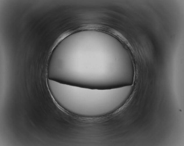 X0000085021425200703050927