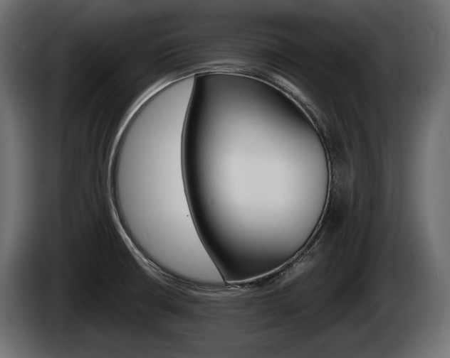 X0000085021426200703050927