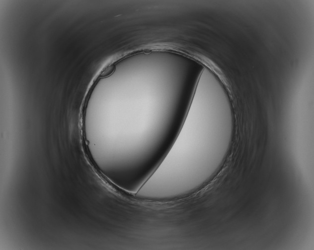 X0000085021428200703050927