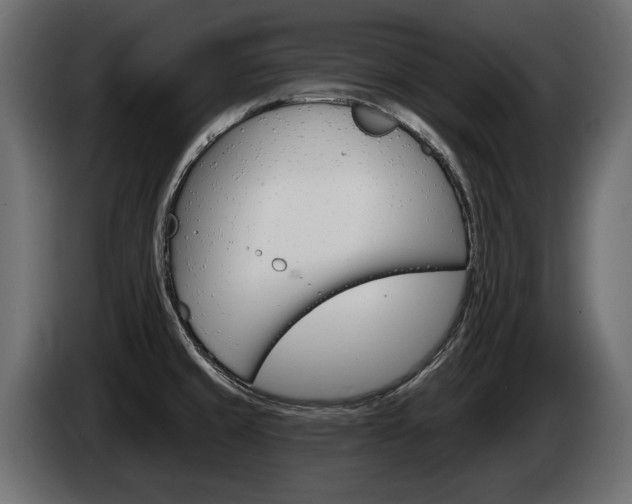 X0000085021429200703050927