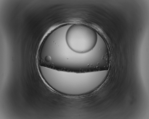 X0000085021432200703050927