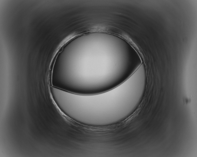 X0000085021434200703050927
