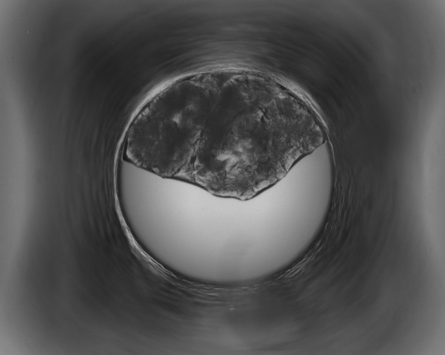 X0000085021439200703050927