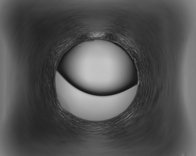 X0000085021441200703050926