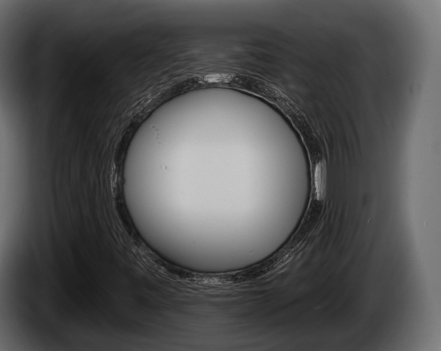 X0000085021443200703050926