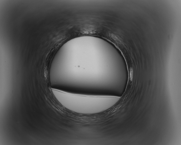 X0000085021444200703050926