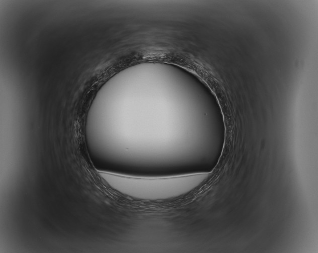 X0000085021445200703050926