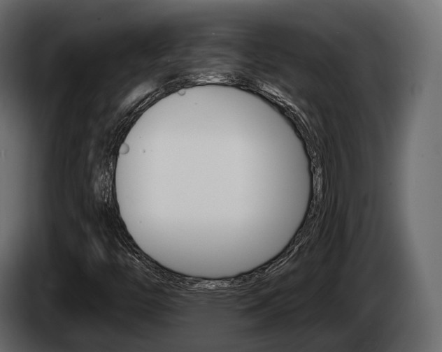X0000085021446200703050926