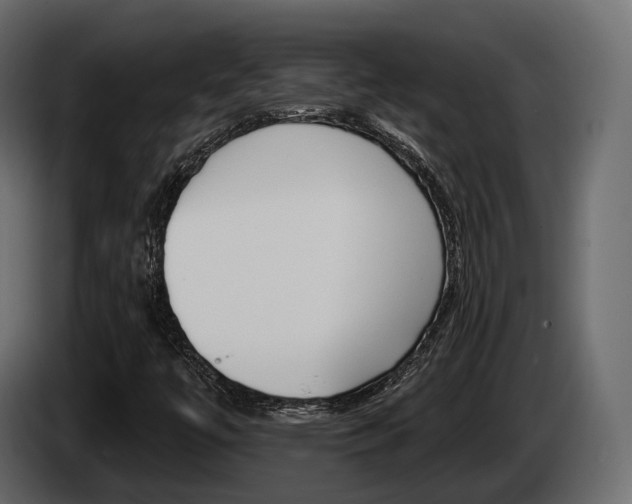X0000085021447200703050926