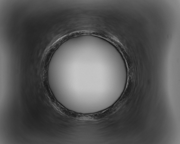 X0000085021448200703050926