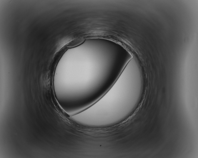 X0000085021450200703050926