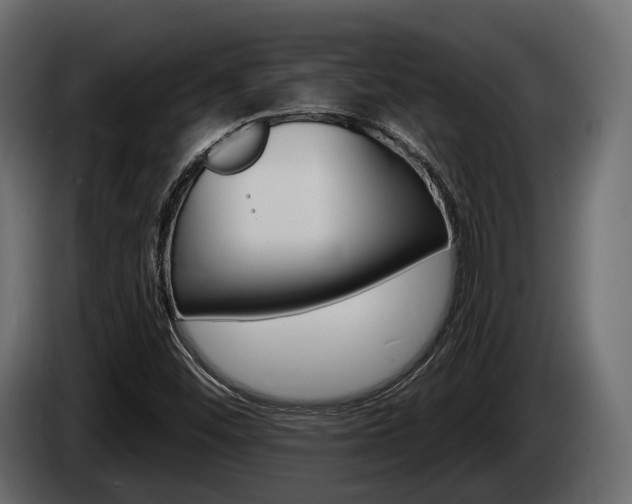 X0000085021452200703050926
