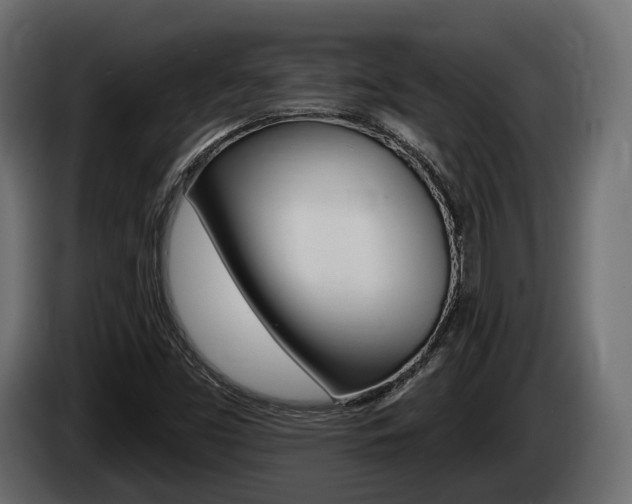 X0000085021453200703050926
