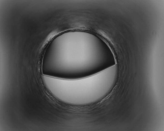 X0000085021455200703050926