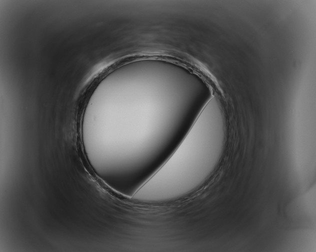 X0000085021456200703050926