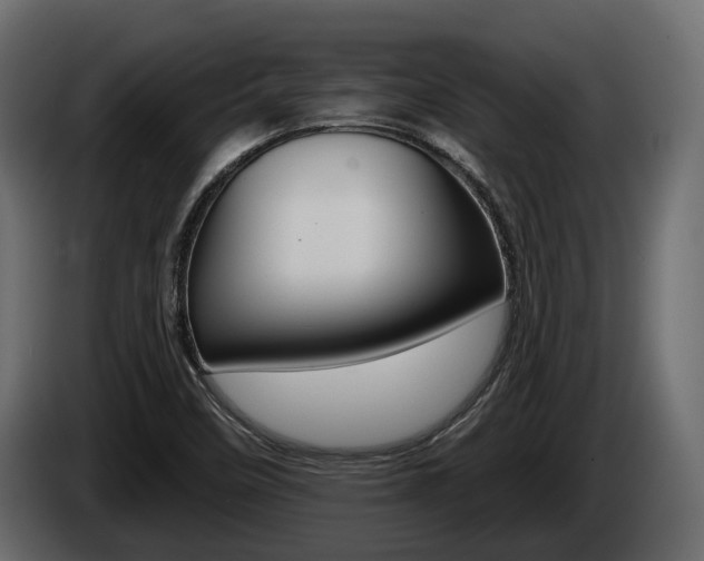 X0000085021458200703050926
