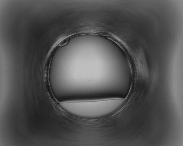 X0000085021459200703050926