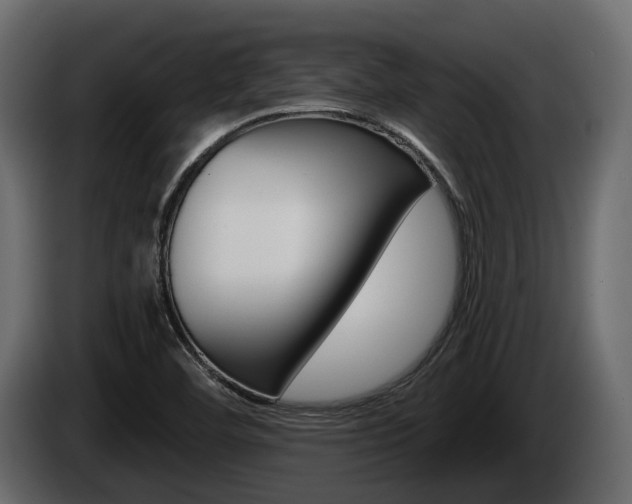 X0000085021460200703050926