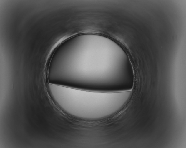 X0000085021463200703050926