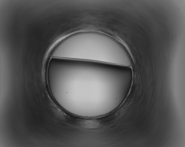 X0000085021464200703050926