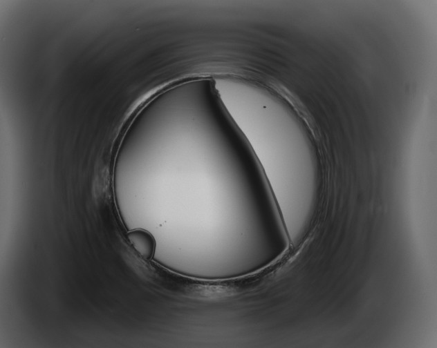 X0000085021465200703050926