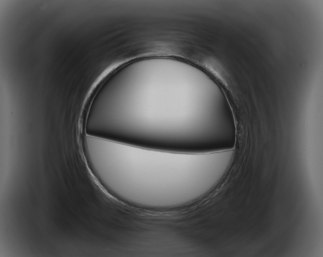 X0000085021468200703050926