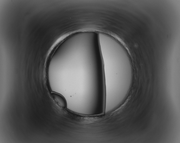 X0000085021469200703050926