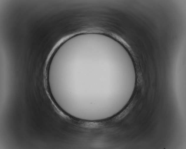 X0000085021470200703050926