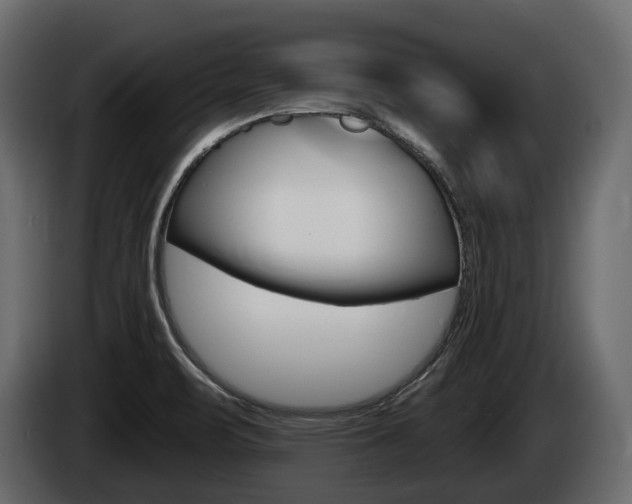 X0000085021471200703050926