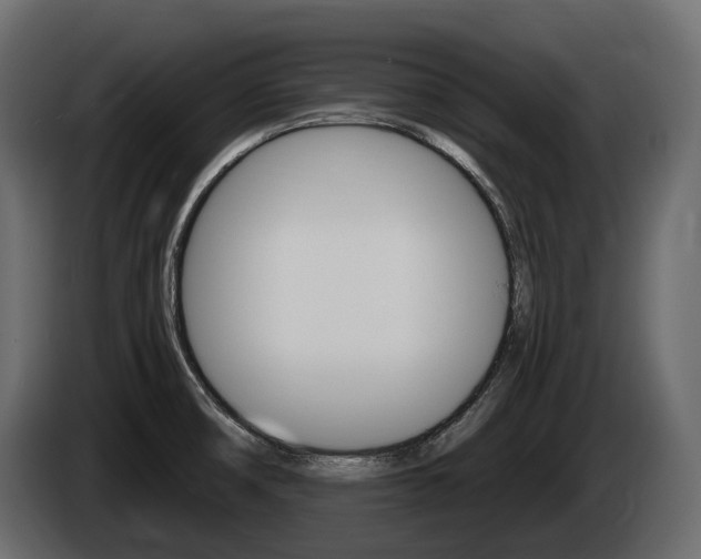 X0000085021474200703050926